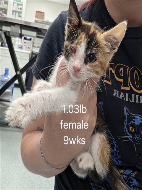 A169669