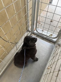 A168183 - Photo 1