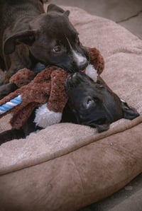 Jenny - Photo 23