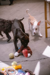 Jenny - Photo 25