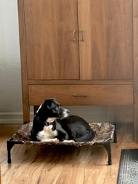 Layka - Photo 18