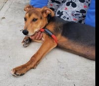 Argus - Photo 4