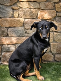 Chiquita J - Photo 1