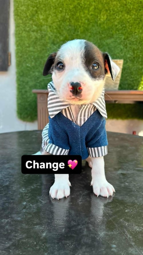 CHANGE A