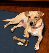 Lavern C - Photo 1