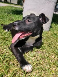 Katie - Photo 1