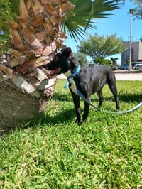 Katie - Photo 4