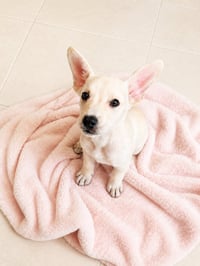 Pinky K - Photo 2