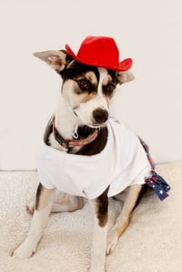 Lola M - Photo 2