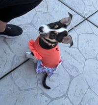 Lola M - Photo 9