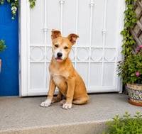 Zeus D - Photo 1