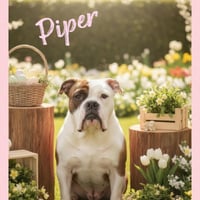 Piper - Photo 3