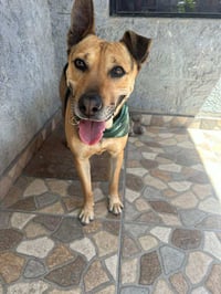 Charro - Photo 5