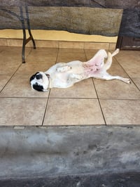 Harley B - Photo 7
