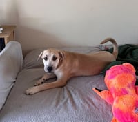 Phoebe Marie - Photo 4
