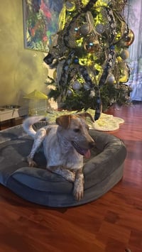 Luna Love - Photo 6