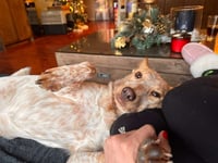 Luna Love - Photo 3