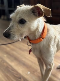 Frida - Photo 3