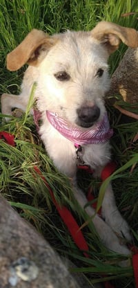 Frida - Photo 16