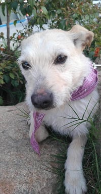 Frida - Photo 13