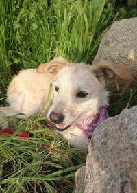 Frida - Photo 7