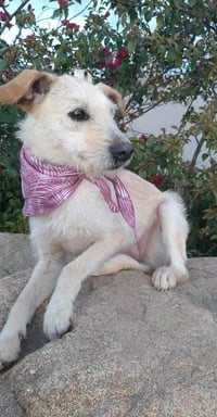 Frida - Photo 6