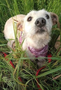 Frida - Photo 9