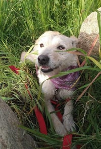 Frida - Photo 8