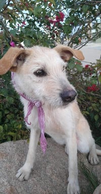 Frida - Photo 15