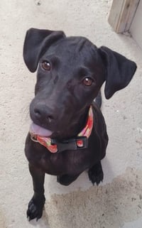 Gala AC - Photo 1