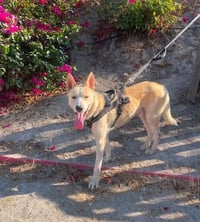 Tin Tin GR - Photo 4