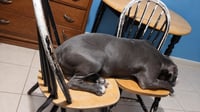 Lucky GR - Photo 4