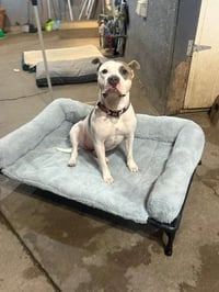 Nova L. - Photo 3