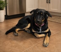 Danna - Photo 1