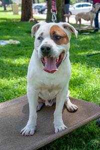 Sporty Spots - Photo 19
