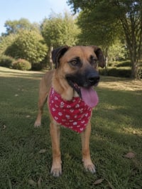 Kenny T - Photo 3
