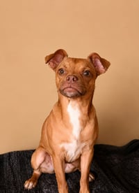 Winston T - Photo 1