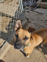 Tina - Photo 10