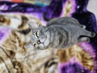 Tucker - Photo 2