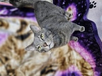 Tucker - Photo 3