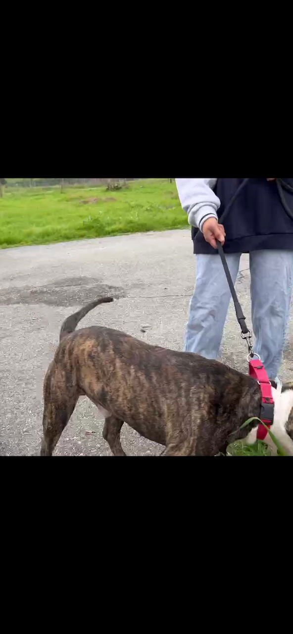 ADAM LAMBERT - Photo 3