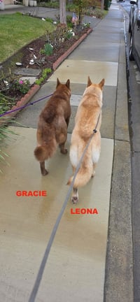 GRACIE & LEONA - Photo 10