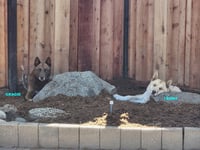 GRACIE & LEONA - Photo 7