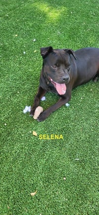 SELENA - Photo 9