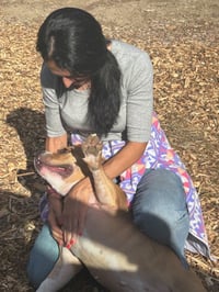 LUNA ( Love Bug) - Photo 4
