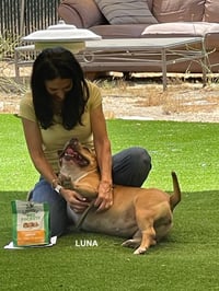 LUNA ( Love Bug) - Photo 7