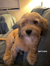 MATTHEW - Photo 4