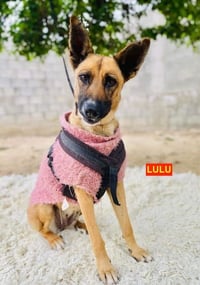 LULU - Photo 1