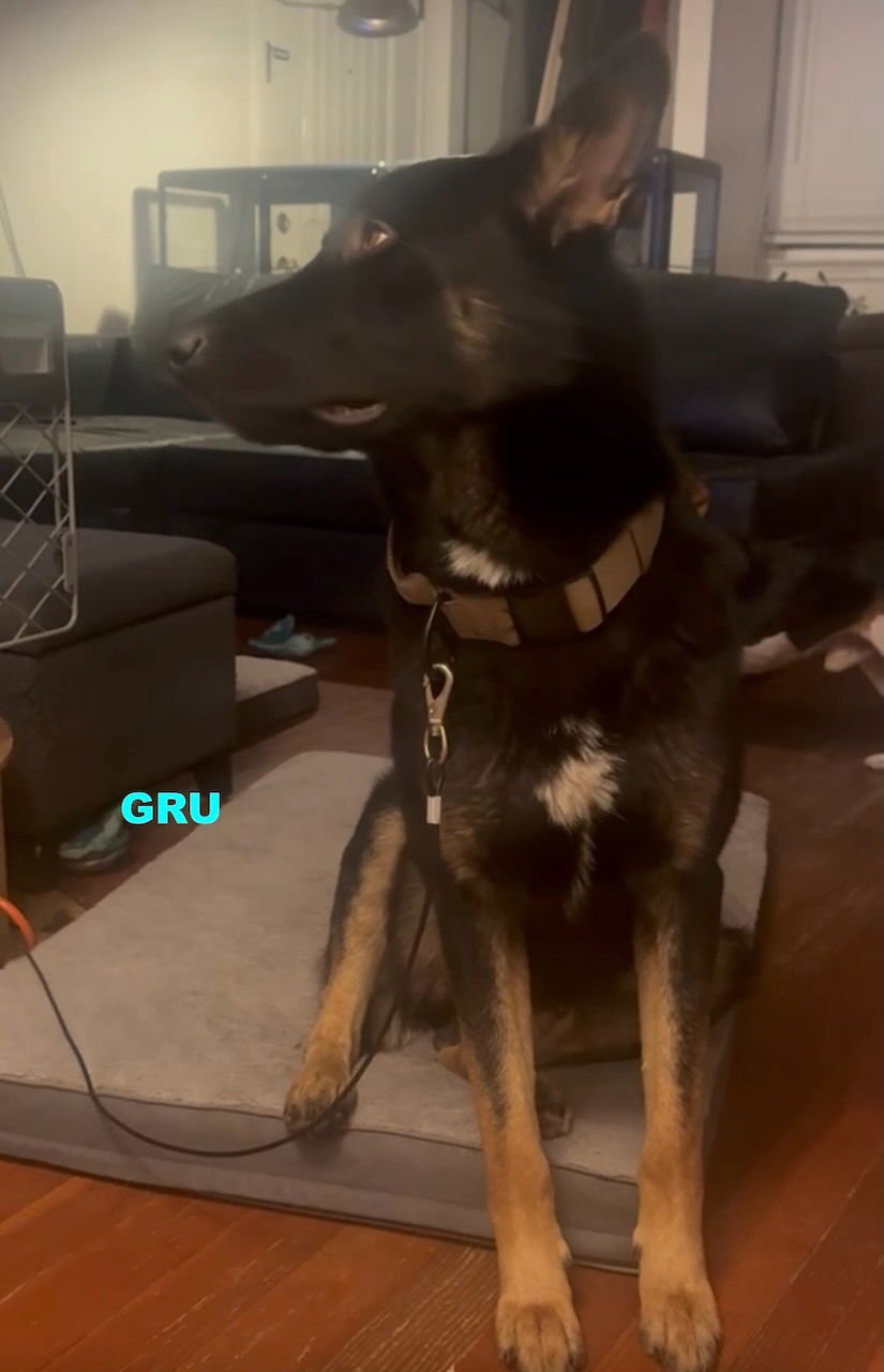 GRU - Photo 3