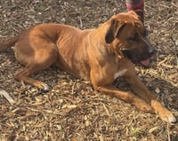 NALA - Photo 2